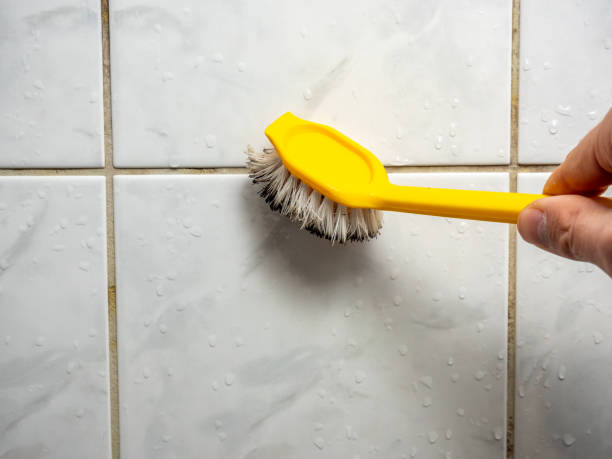 Best Bathroom Mold Remediation in Godfrey, IL