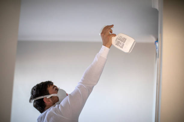 Best White Mold Remediation in Godfrey, IL