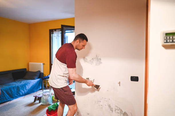 Best Post-Flood Mold Remediation in Godfrey, IL